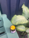Grounding & Warming Balm | Grief & Healing Anointing Organic Cinnamon Clove Ginger Peppermint Spearmint Eucalyptus Lemongrass Lemon Myrtle Orange